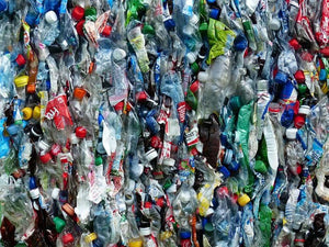 The Impact of Plastics