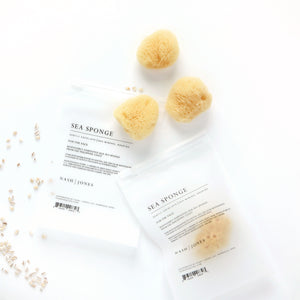Sea Sponge