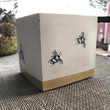Bee Concrete Planter