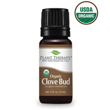 Organic Clove Bud Essential Oil